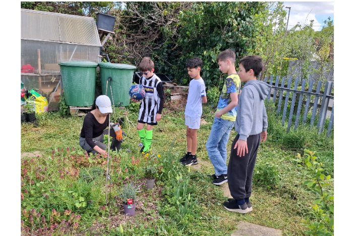 2026 April: Identifying plants with children
