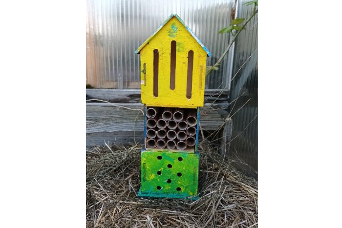 2022 Sept: Bug hotels made by children - Photographer Milly Chen