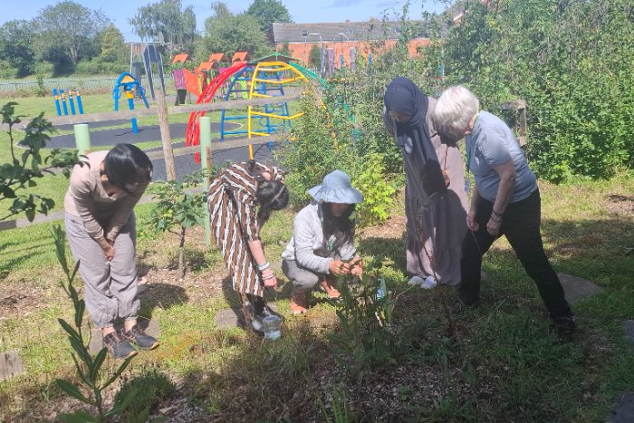 Showing perennial edibles (e.g. Welsh Onion)