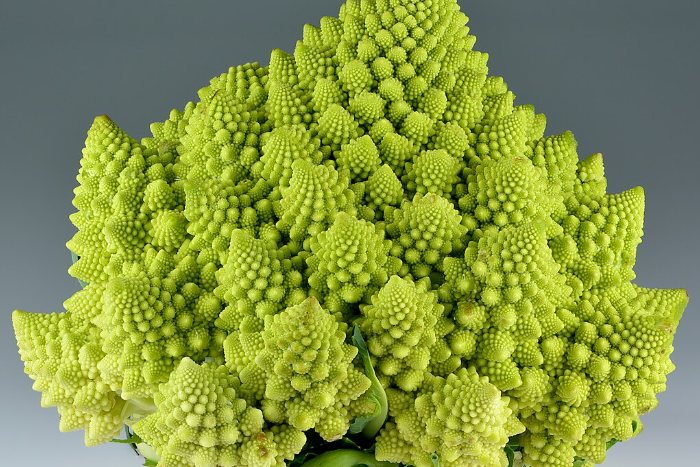Geometrically crazy Romanesco broccoli