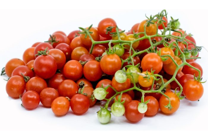 Solanum pimpinellifolium, the direct ancestor of today's cultivated tomato