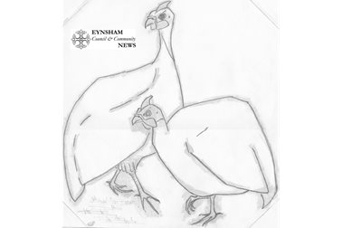 Issue 20: Penny's guinea fowl - Penny Noel’s birds and beetles need little introduction: drawn from earlier life and more recent studies, they captured many hearts. This preparatory sketch will appear in Eynsham News and is now available to download here. An exhibition and sale of artwork, materials and books is being held in Penny’s memory on Saturday 23 & Sunday 24 July 10:00-18:00, proceeds to the Oxfordshire Association for the Blind.<br/> - Photographer Penny Noel