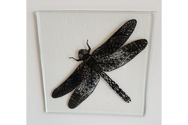 Dragonfly - Enamel screenprinting on glass - Photographer Rosalind