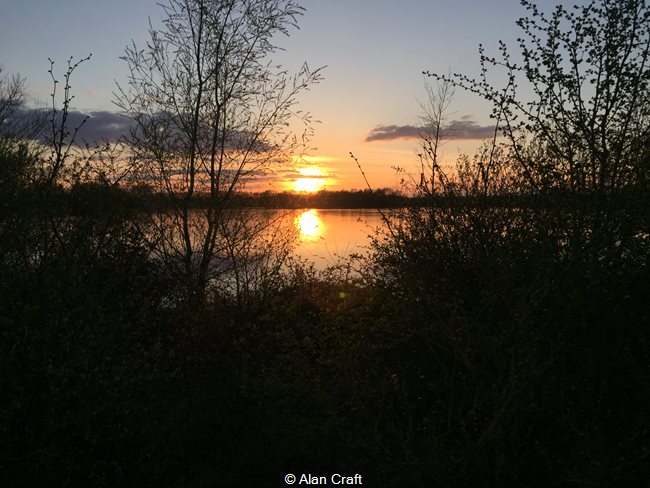Smiling Sunset
